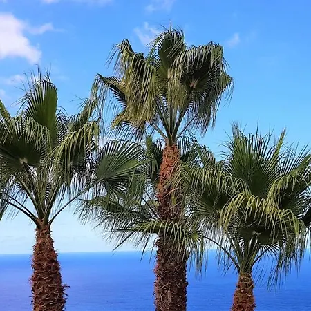 Daire Larnia De Tenerife *
