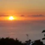 Larnia De Tenerife *