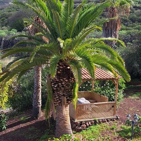 Larnia De Tenerife Lägenhet Sauzal