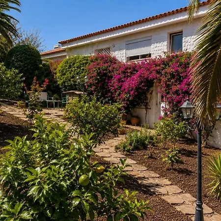 Апартаменты Larnia De Tenerife Саусаль