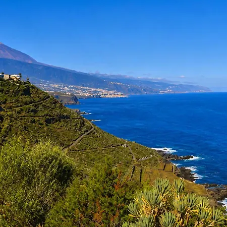 Larnia De Tenerife * Саусаль