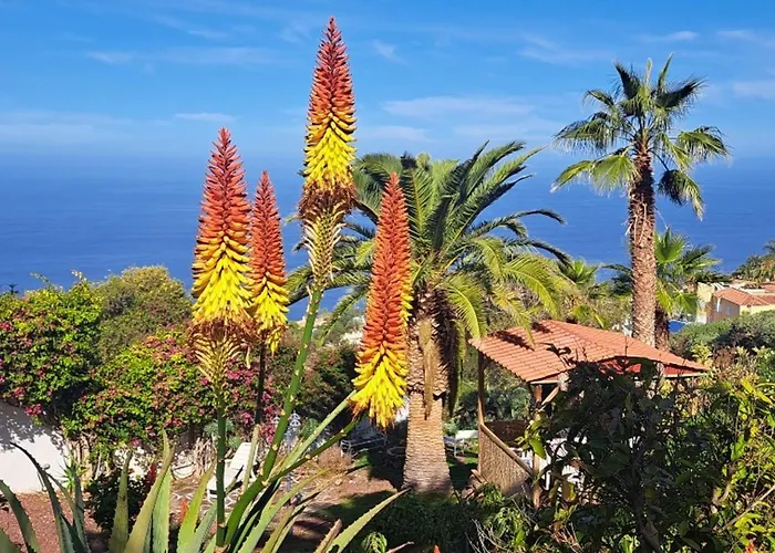 Larnia De Tenerife * Sauzal