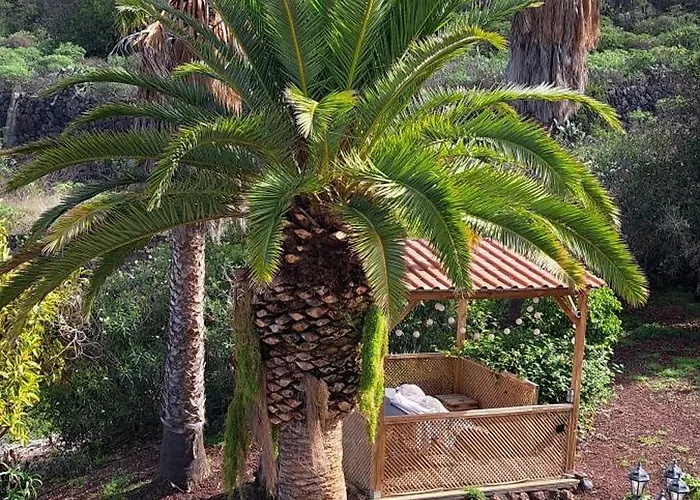 Larnia De Tenerife Lägenhet Sauzal