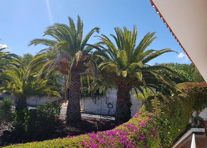 Lägenhet Larnia De Tenerife *