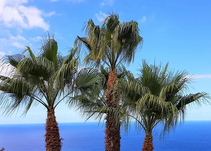 Lägenhet Larnia De Tenerife *