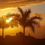 Larnia De Tenerife El Sauzal