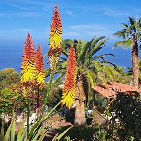 Larnia De Tenerife * El Sauzal